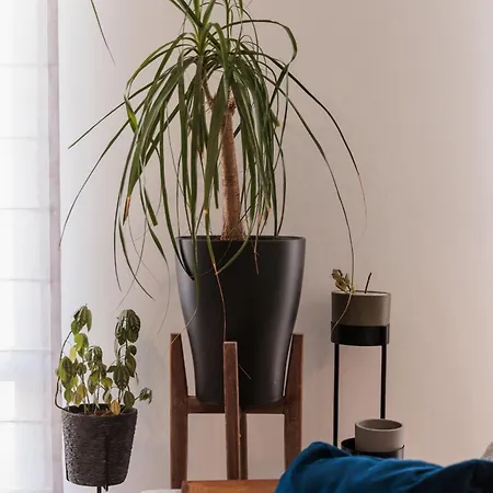 Helen's Balluta Retreat - By Solea Homes Appartement Sliema