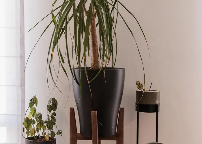 Helen's Balluta Retreat - By Solea Homes 公寓 斯利马